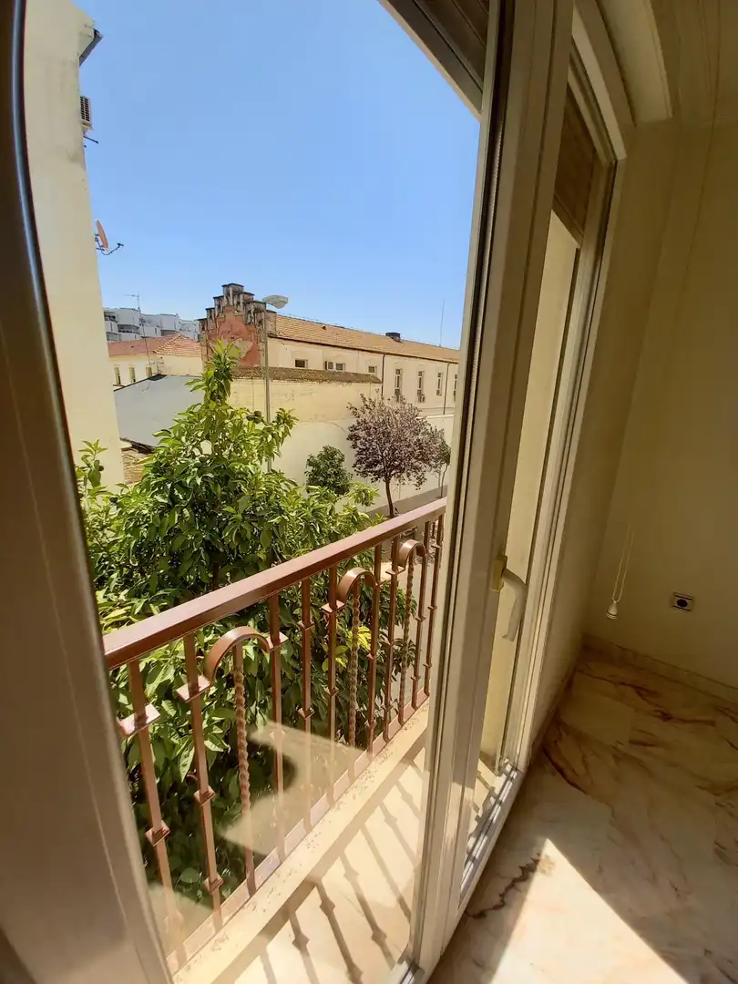 Balcony of Flat for rent in Poniente-Sur