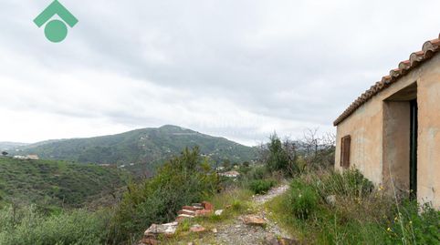 Foto 5 de Finca rústica en venta en Frigiliana, Málaga