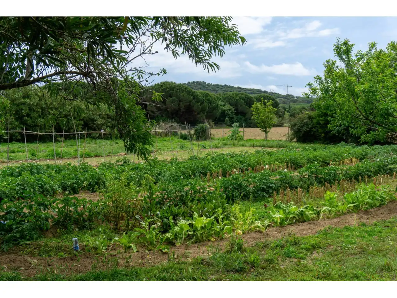 Finca rústica en venta en Castell d'Aro, Platja d'Aro i s'Agaró con Calefacción, Jardín privado y Terraza