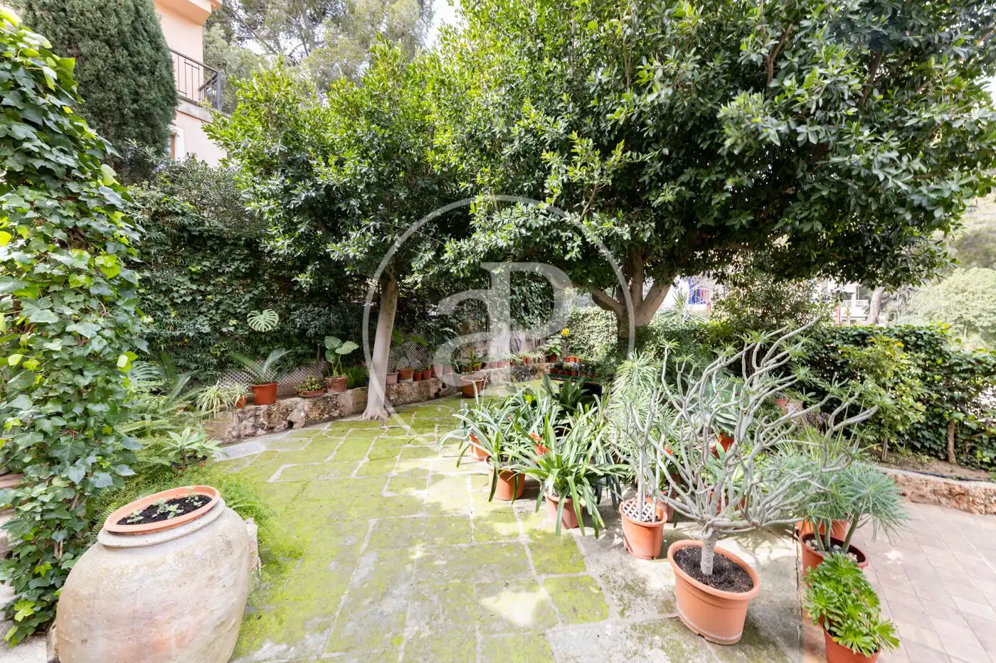 Jardí de Casa o xalet en venda en Calvià amb Aire condicionat, Calefacció i Jardí privat