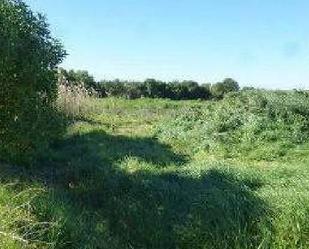 Grundstücke zum verkauf in Sanlúcar de Barrameda