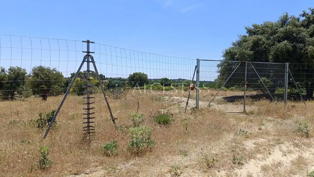 Terreno en venta en La Torre de Esteban Hambrán