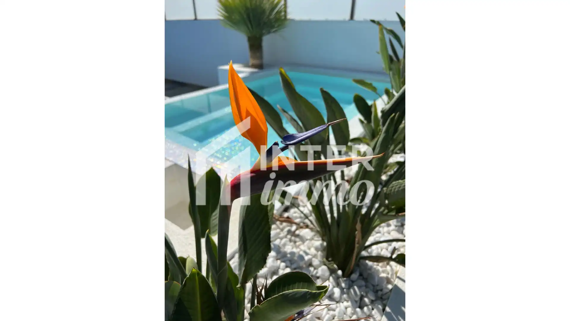 Maison avec piscine à vendre à Carrer Falconera 24, imagen 9