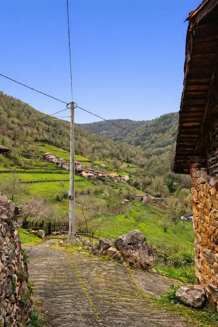 Vista exterior de Casa o chalet en venta en Proaza con Piscina