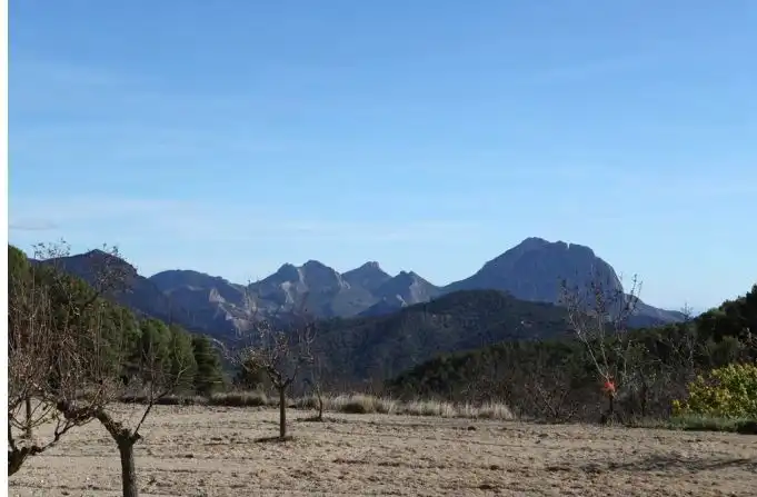 Rural land for sale in Torremanzanas / La Torre de les Maçanes, imagen 14