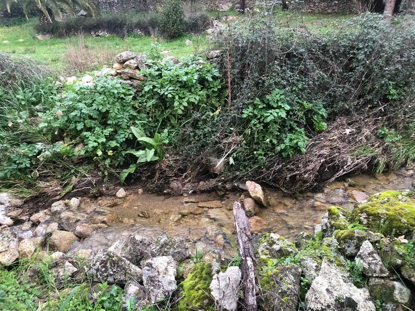 Land for sale in Montánchez