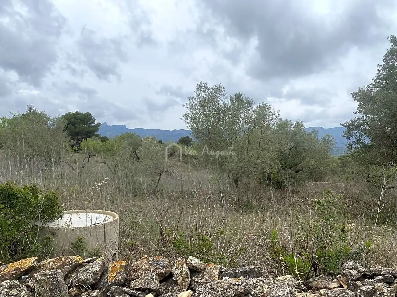 Terreno rustico in vendita a Burga, imagen 20