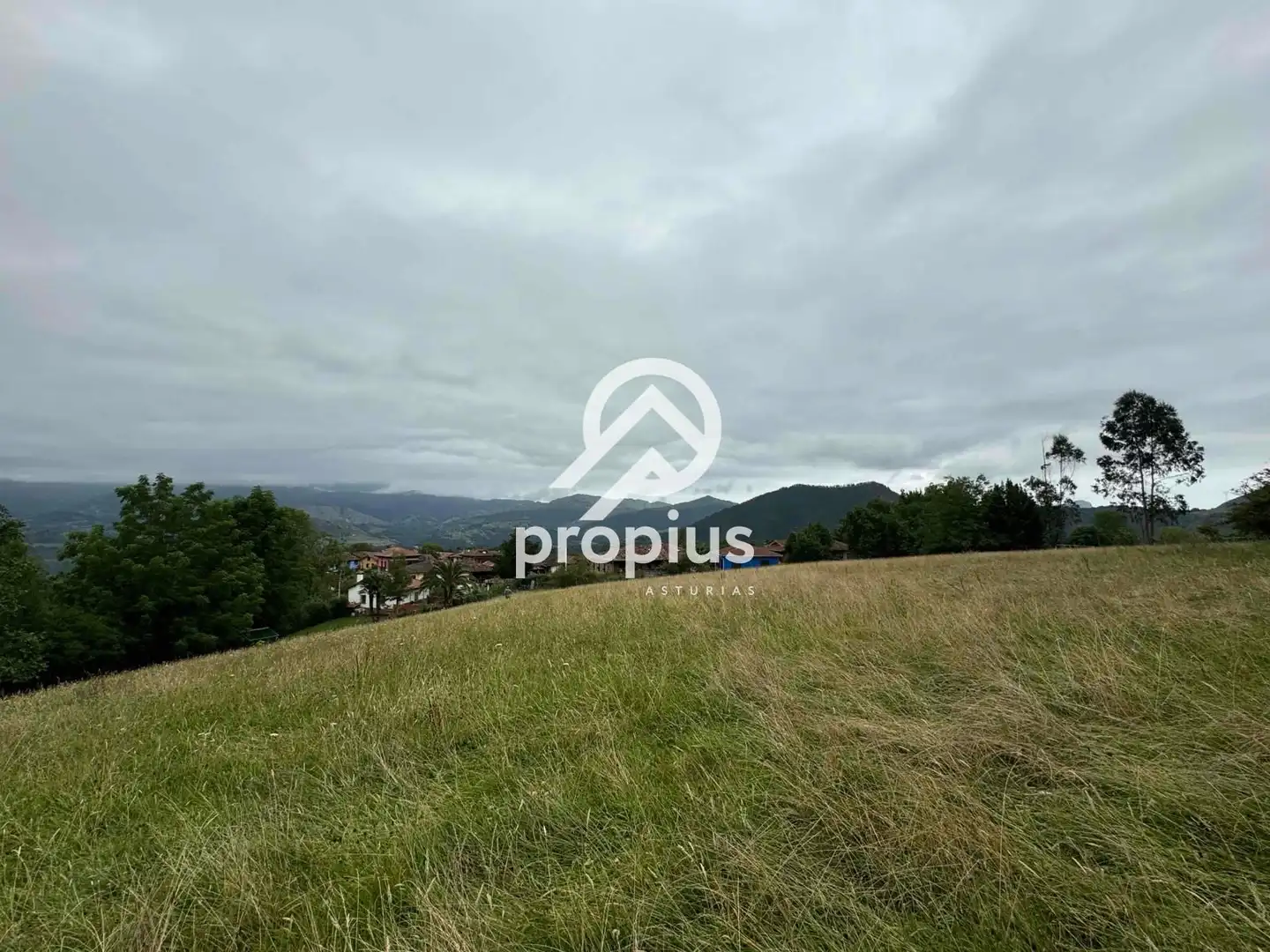 Rural land for sale in Arenas, imagen 27
