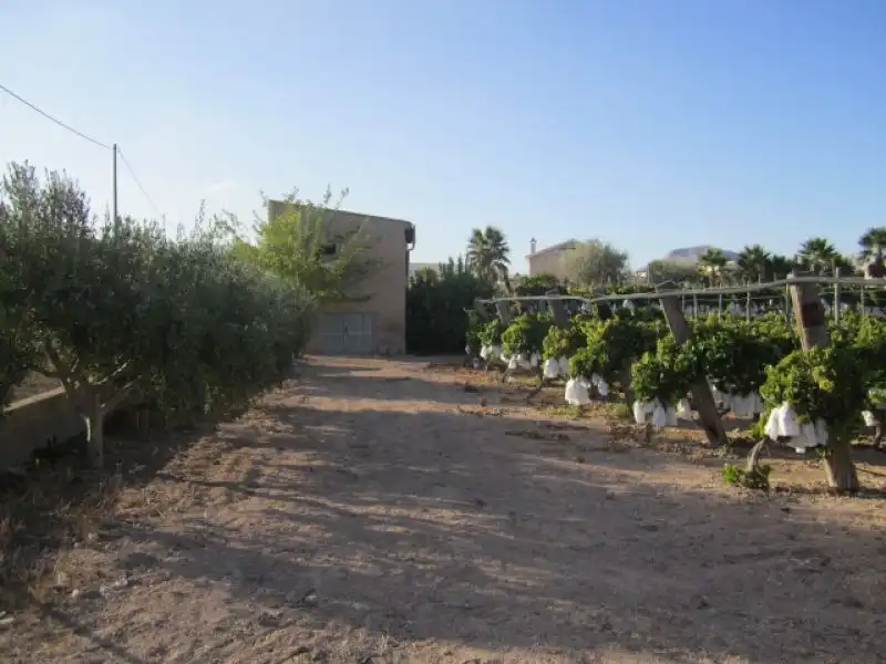 Rural land for sale in Novelda