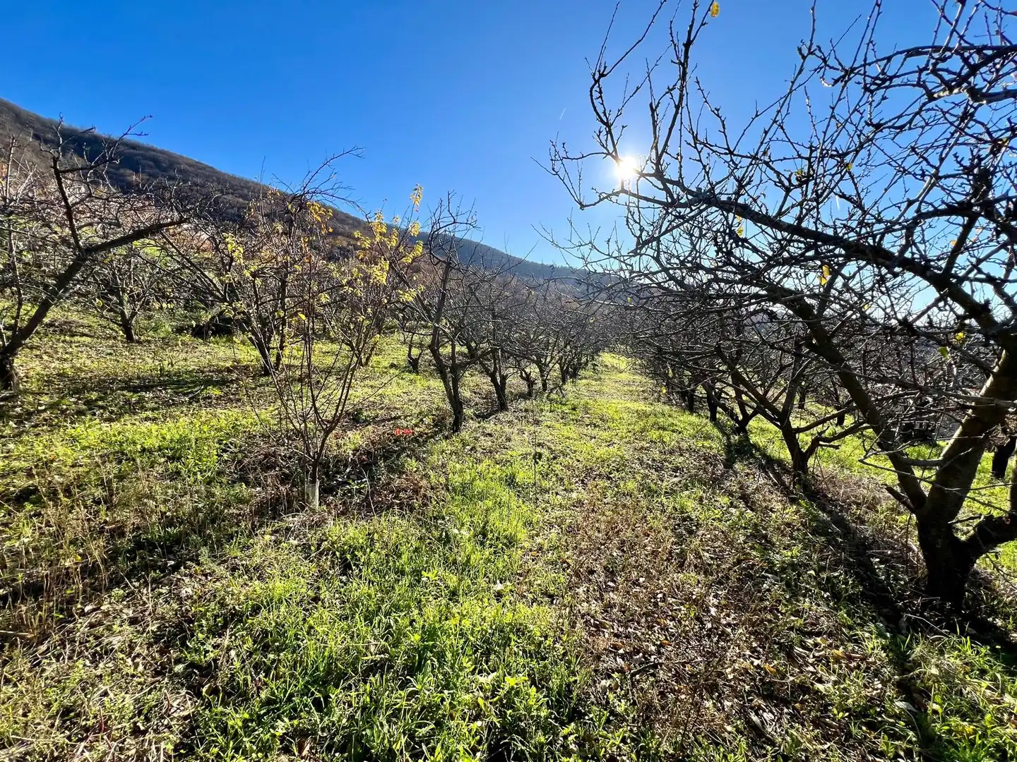 Terreni e lotti in vendita a Casas del Castañar, imagen 9