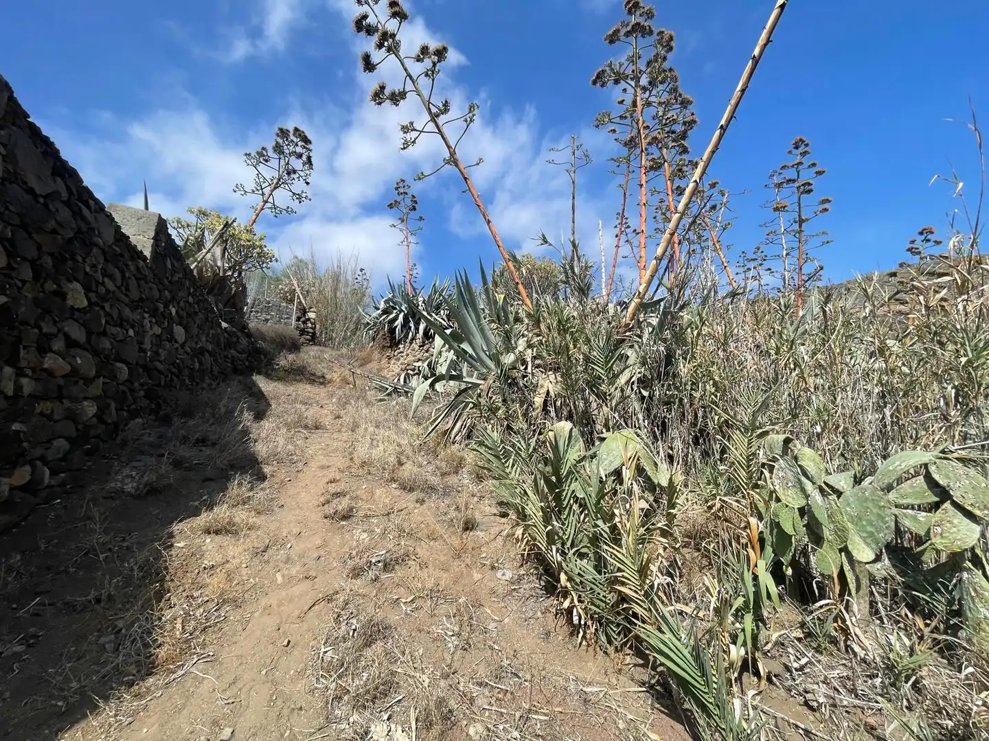 Terreno en venta en Valsequillo de Gran Canaria