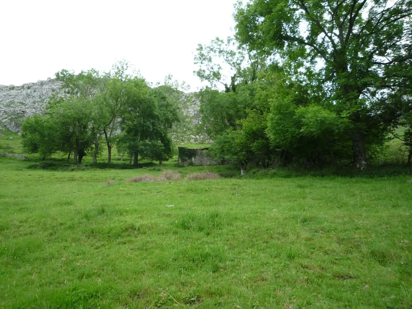 Terreno rustico in vendita a Liérganes, imagen 8