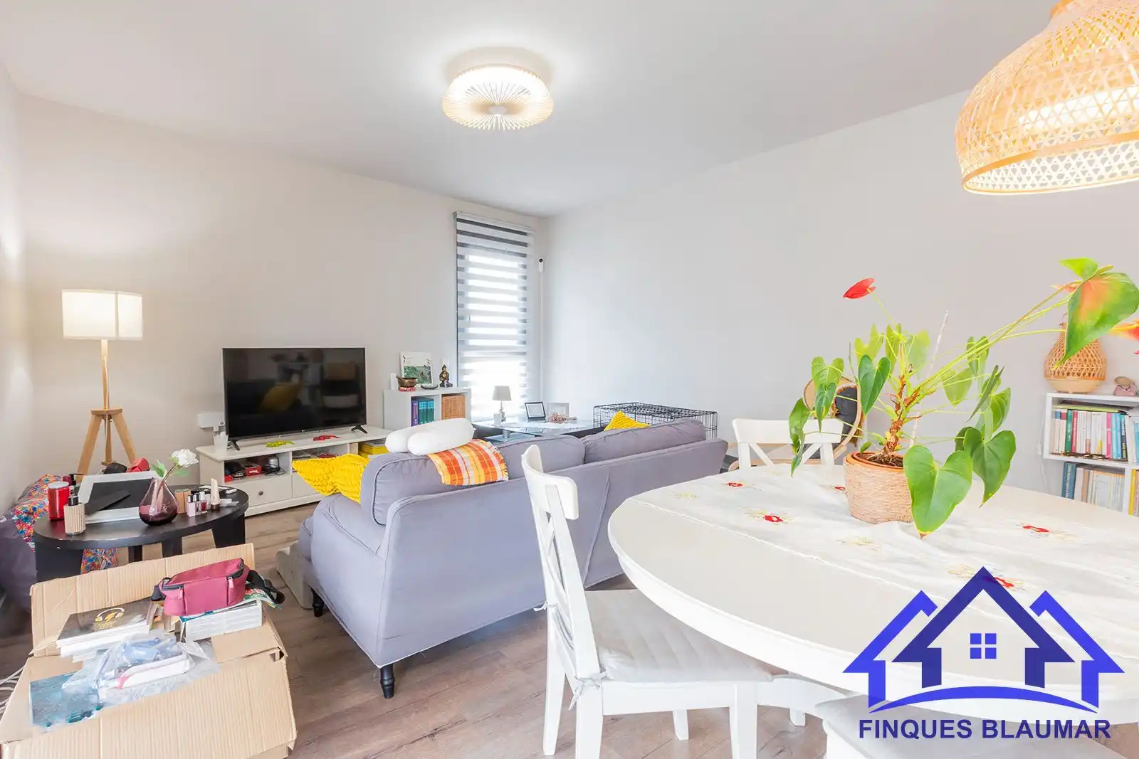 Flat for rent in Centre
