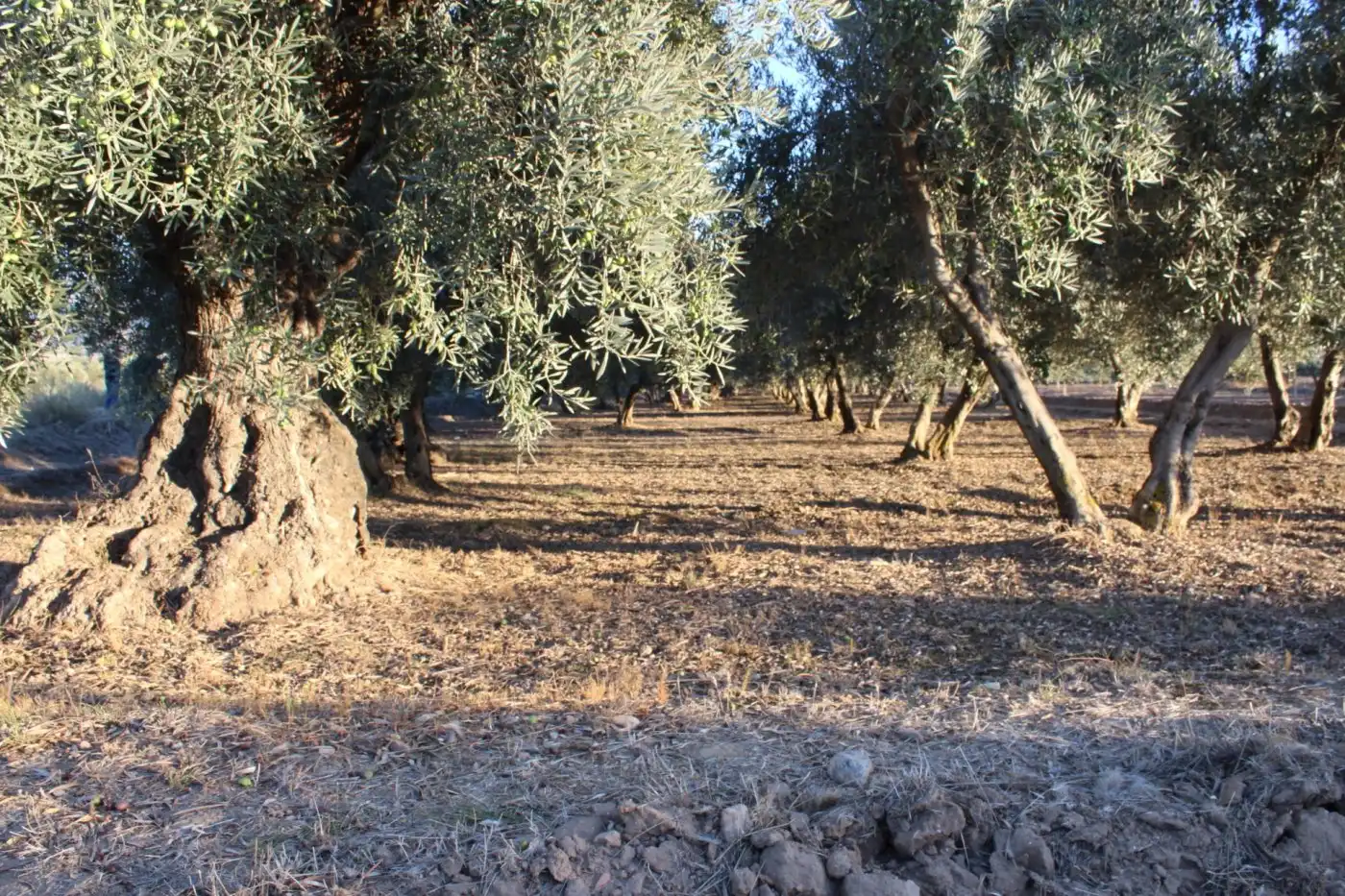 Country homes for sale in Villa de Otura, Granada