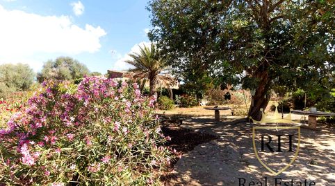 Foto 2 de Finca rústica en venta en Carrer D'es Cós, Santanyí Poble, Santanyí