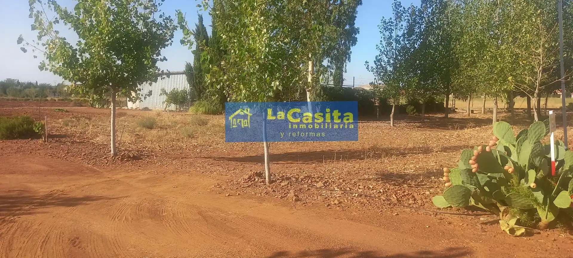 Detached house with garden for sale in Bolaños de Calatrava, imagen 9