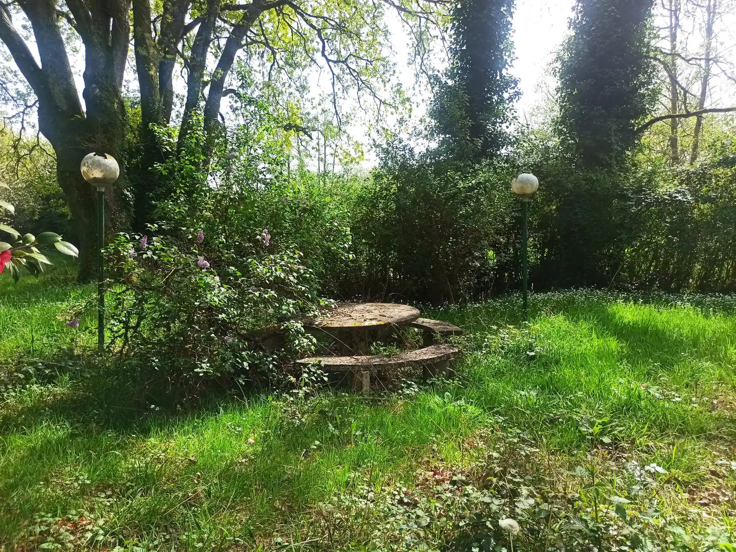 Terreni e lotti in vendita a Parroquias del Este, imagen 11