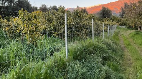 Terreno en venta en Murchas., immagine 3