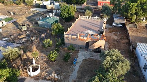 Foto 5 de Finca rústica en venta en Perdigueras, Pedanías Norte, Utrera