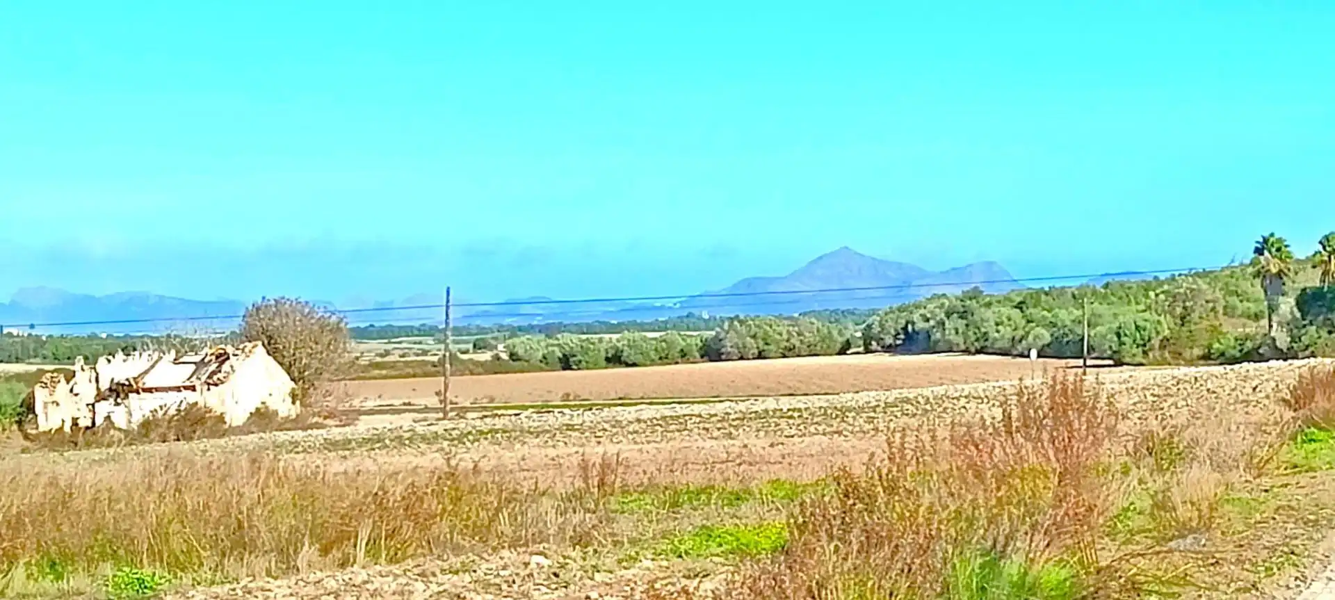 Wohnbaugrundstück zum Verkauf in Muro, imagen 3