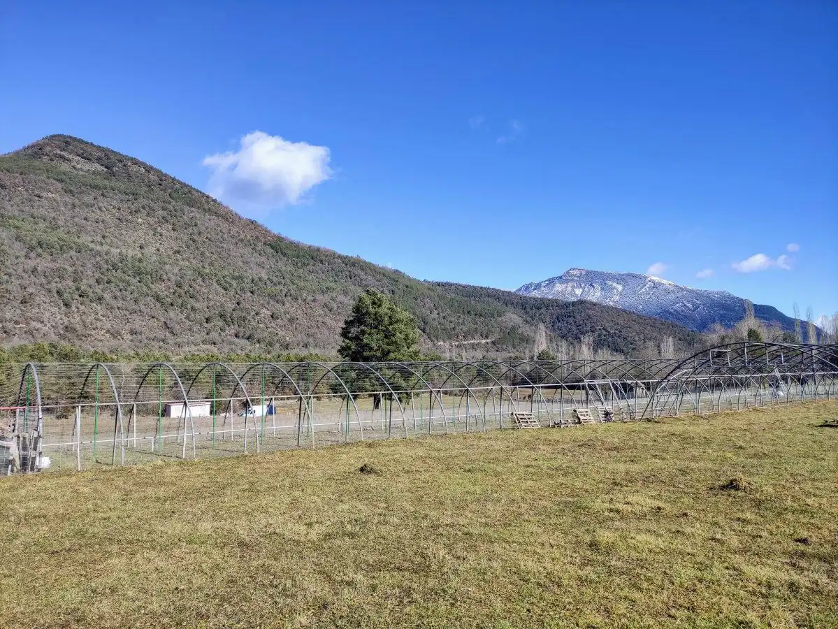 Vista exterior de Finca rústica en venda en Fiscal
