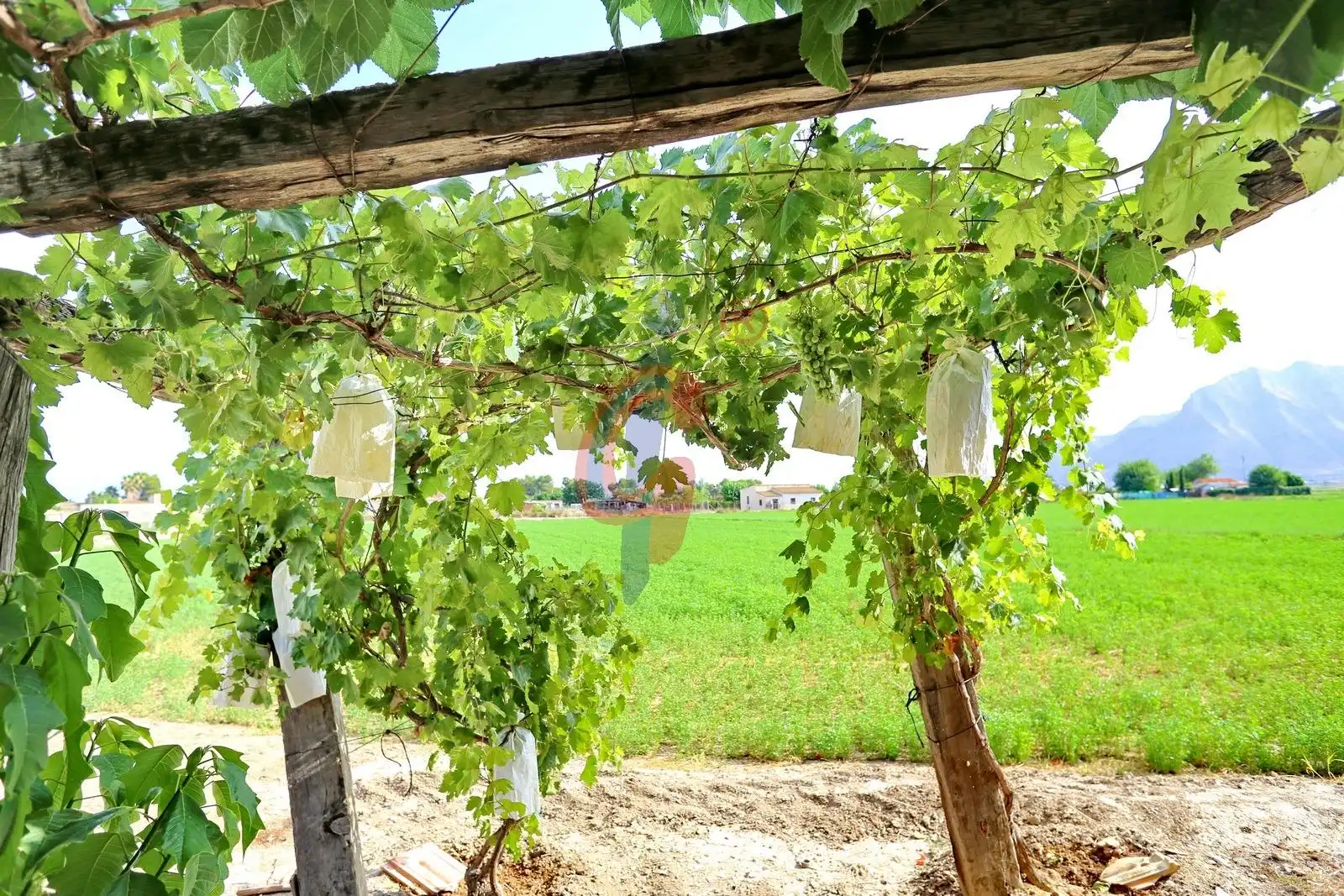 Jardí de Finca rústica en venda en Callosa de Segura amb Jardí privat