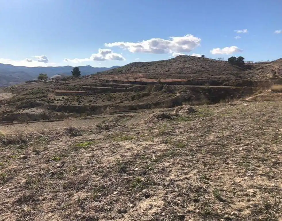 Terrain rustique à vendre à Lorca Ciudad