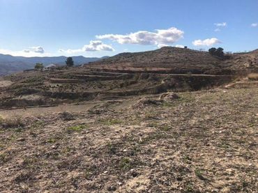 Terrain rustique à vendre à Lorca Ciudad