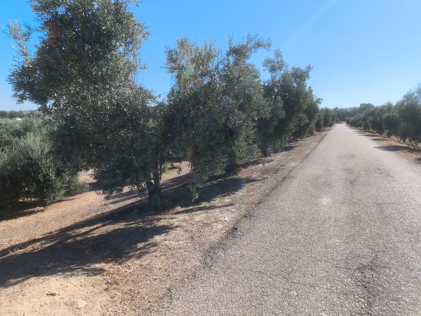 Terreni e lotti in vendita a Mengíbar, imagen 6
