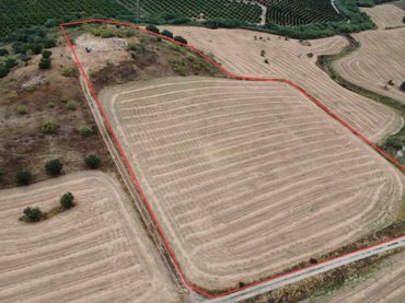 Terreny rústic en venda a Arroyo Hondo La Alqueria, 29130 Alhaurín de la Torre, Spain poligono 20, parcela 249