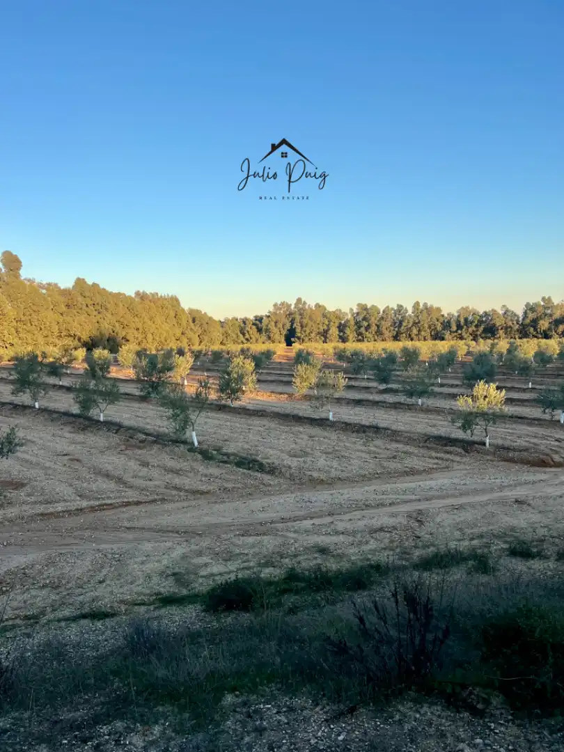Terreni e lotti in vendita a La Puebla del Río, imagen 5
