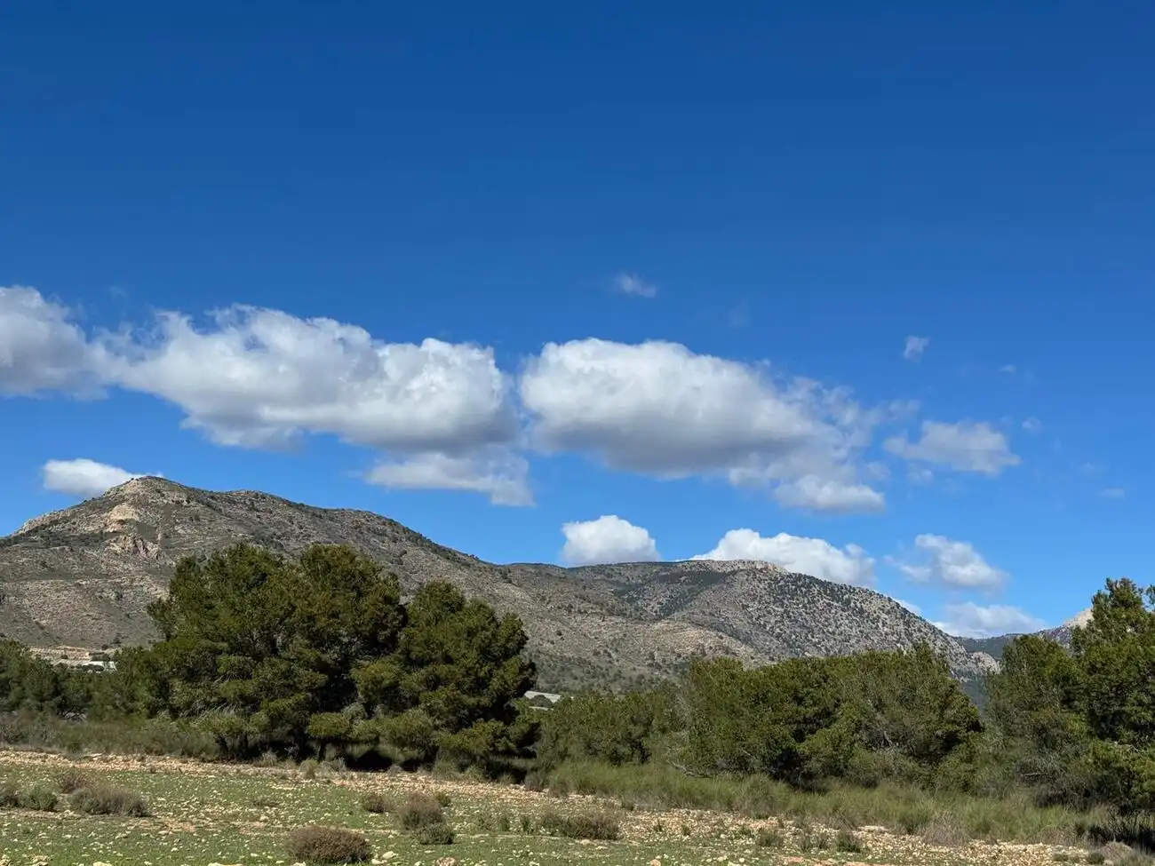Casa rústica amb piscina en venda a Aledo, imagen 13