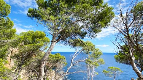 Foto 4 de Apartament en venda a Carrer Rec de L'aigua, Aiguafreda - Sa Tuna, Begur