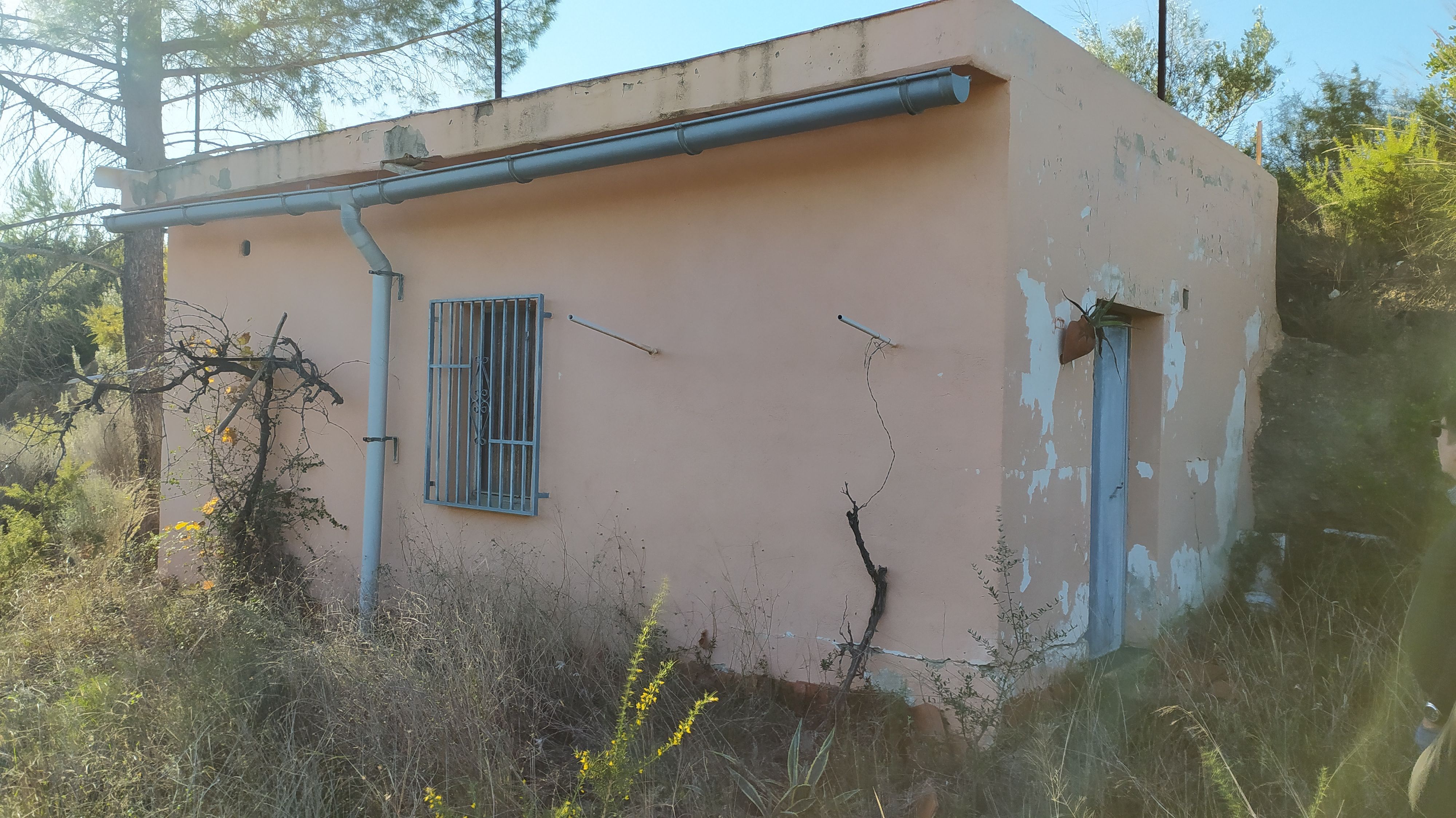 Exterior view of Country house for sale in Bugarra