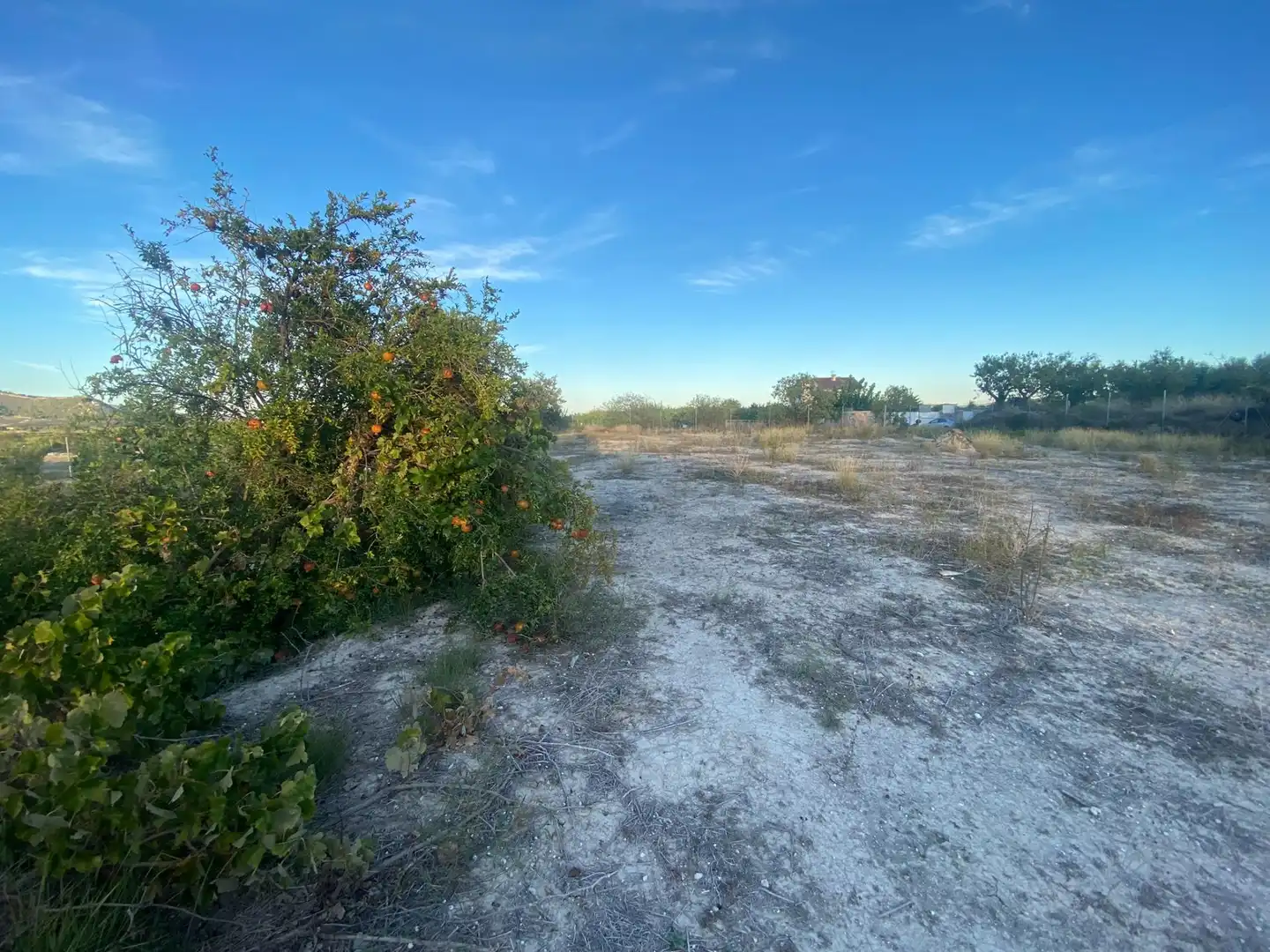 Residential land for sale in Moratalla, imagen 16