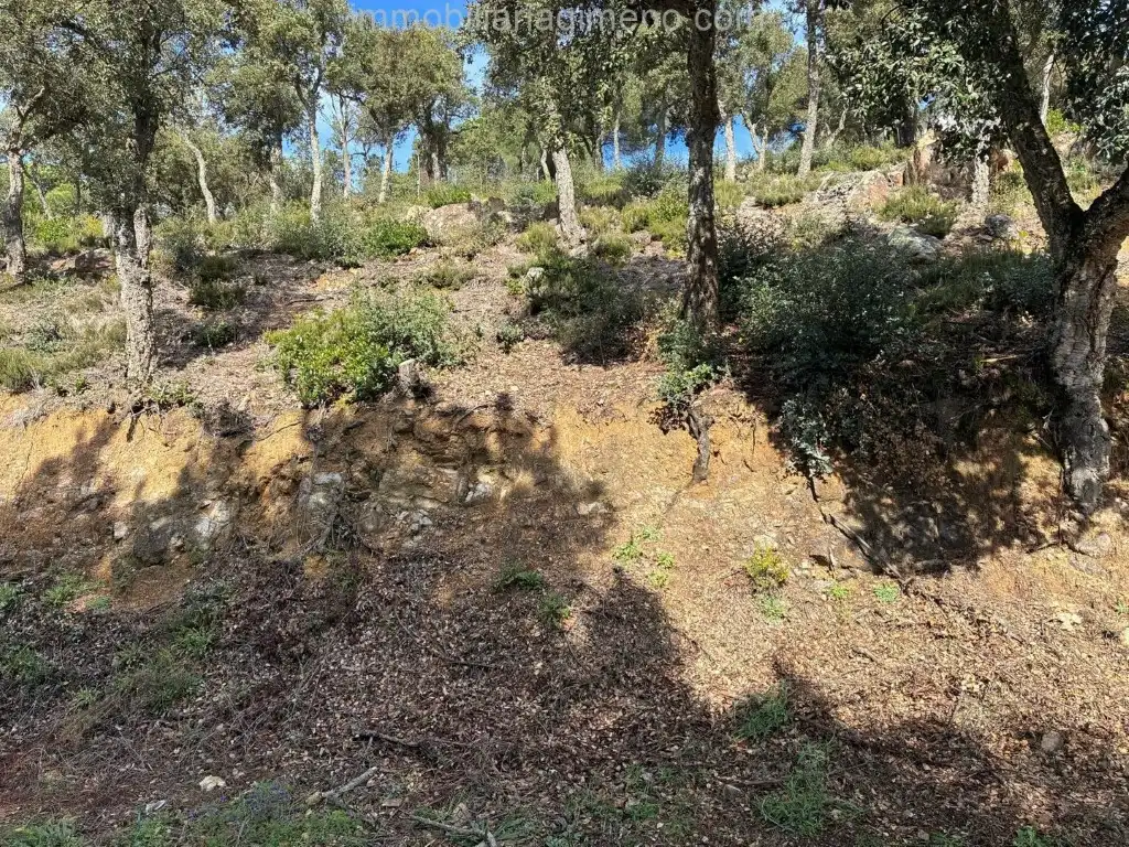 Terreno residencial en venta en Calle Pollancre, imagen 3
