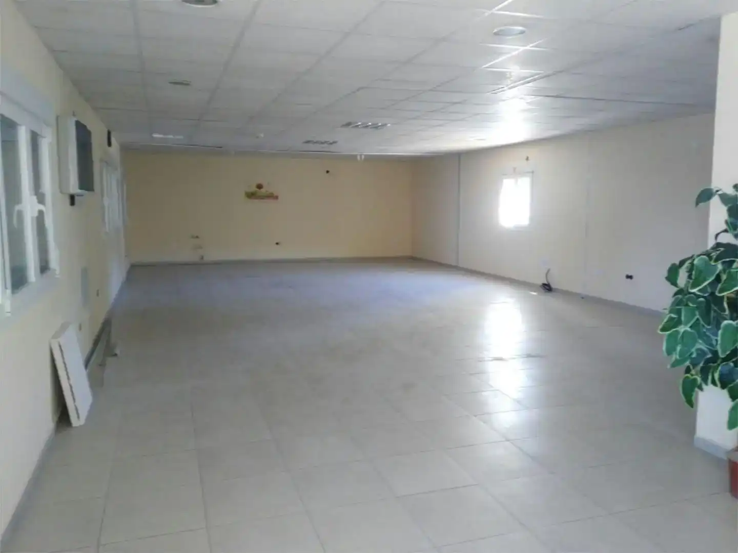 Fabrikhallen zur Miete in Puerto Real