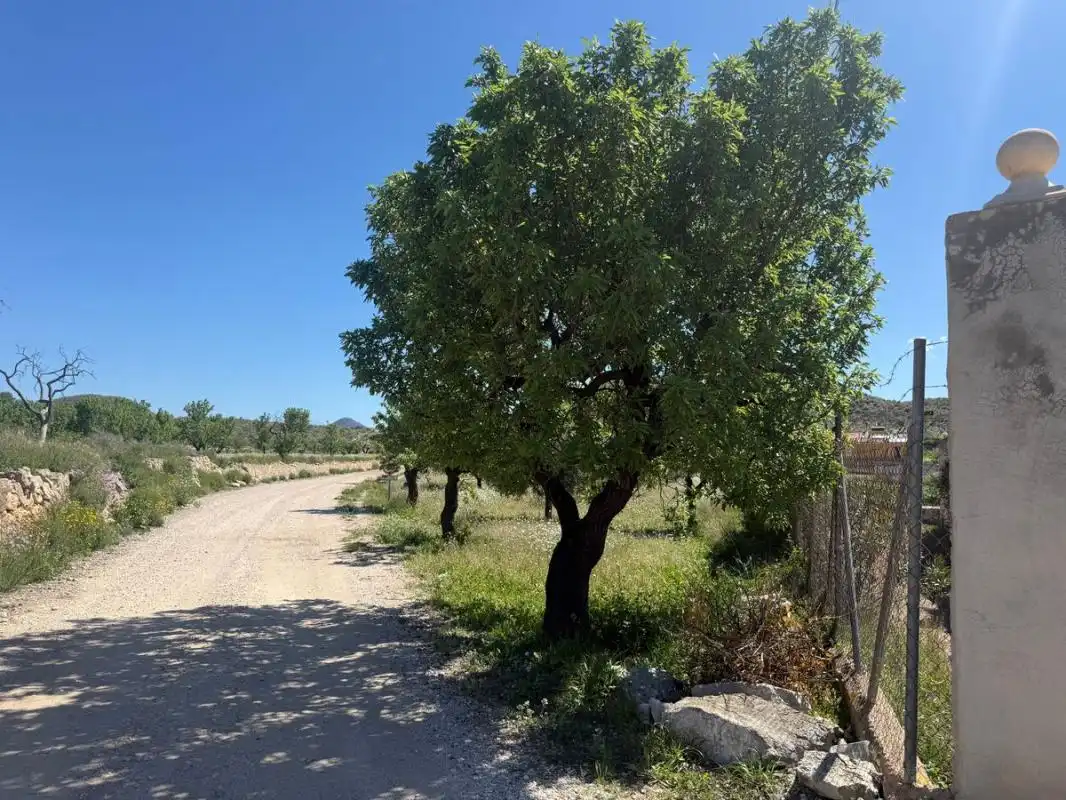 Casa rústica amb terrassa en venda a Diseminado Barinas, imagen 28