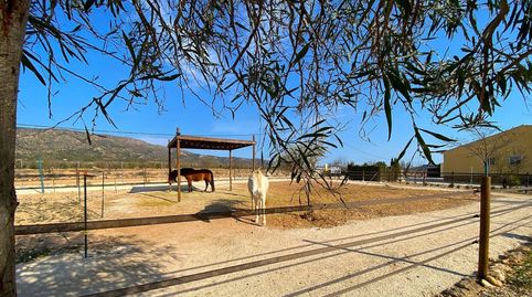 Foto 4 de Casa o chalet en venta en N/a, -1, El Pinós / Pinoso, Alicante