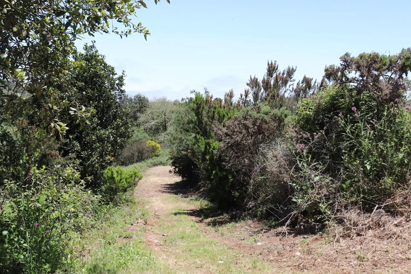 Residencial en venta en Los Silos