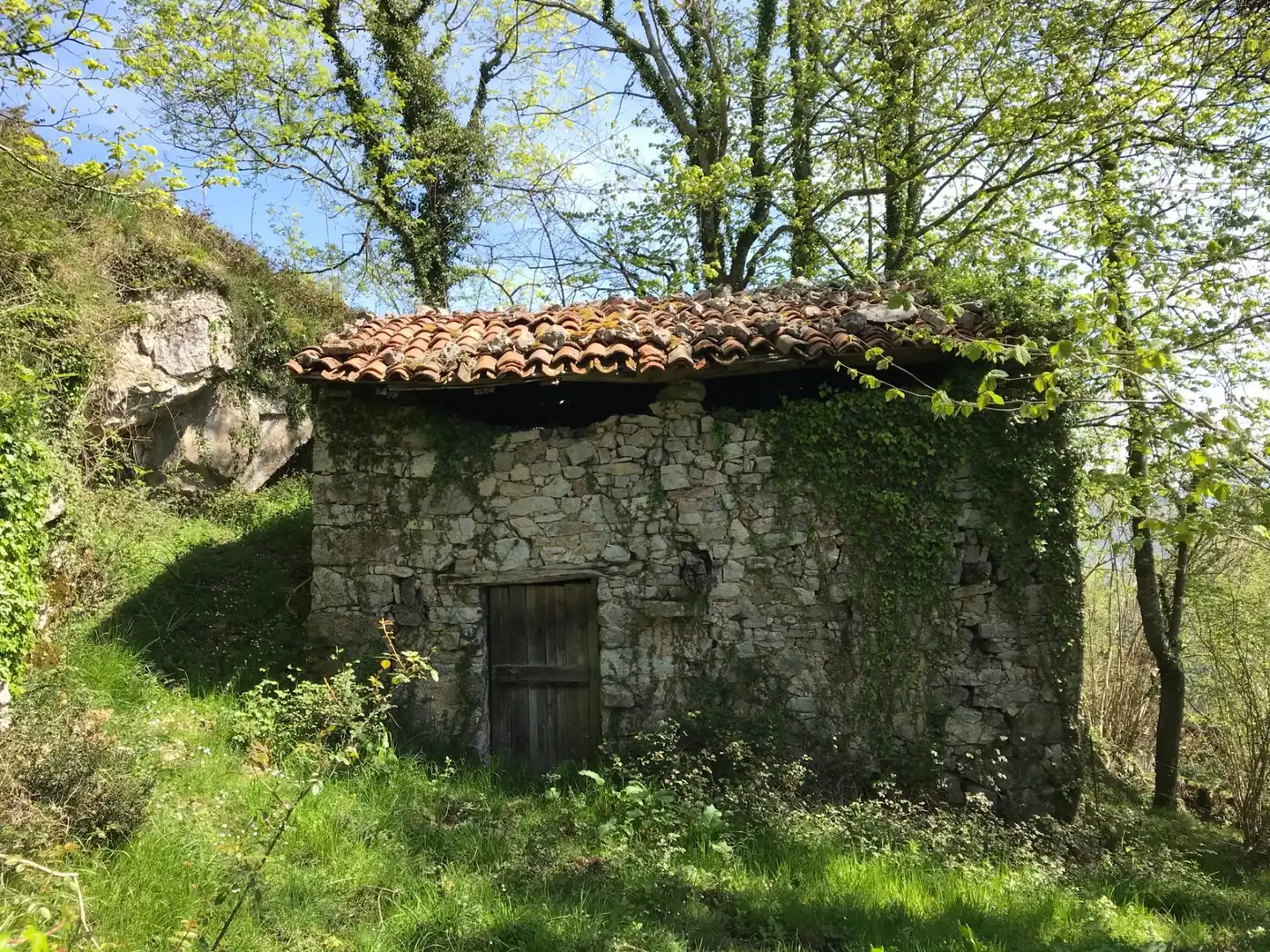 Terreno rustico in vendita a Cangas de Onís, imagen 4