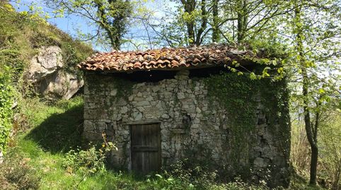 Venta de cuadra de piedra en finca rústica de 18.370 m2 en zona PreParque Nacional, immagine 4
