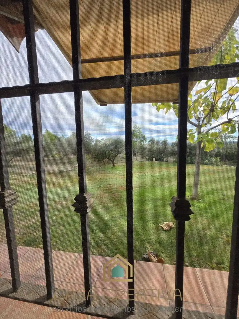 Jardín de Casa o chalet en venta en Chella con Aire acondicionado, Jardín privado y Amueblado