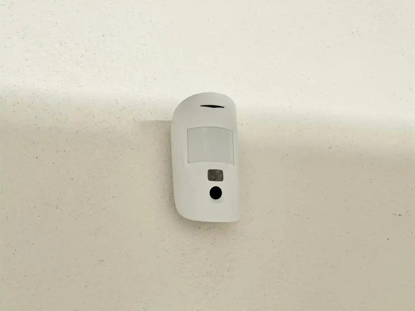 Habitación de Garaje de alquiler en Orihuela