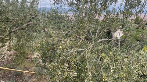 Photo 5 of Residential for sale in Carrer de la Llebre, Les Martines, Barcelona