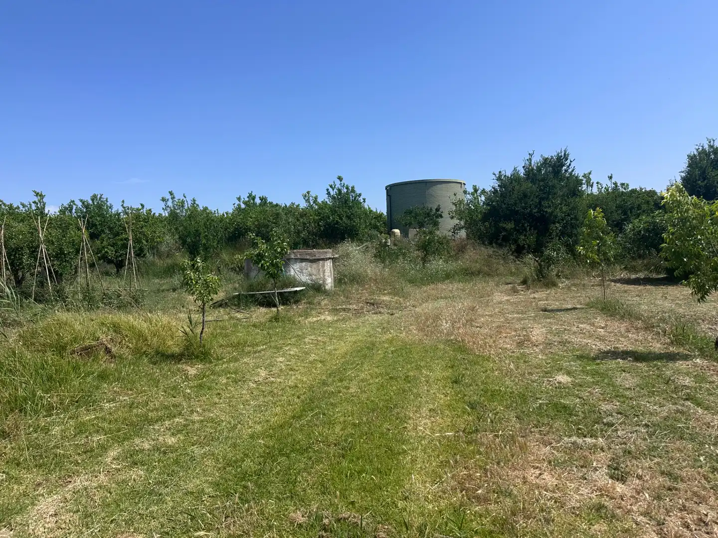 Terreno rustico in vendita a Buenavista - Lauro Golf, imagen 4