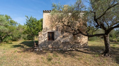 Finca rústica con masía de 2 plantas para reformar, imatge 4
