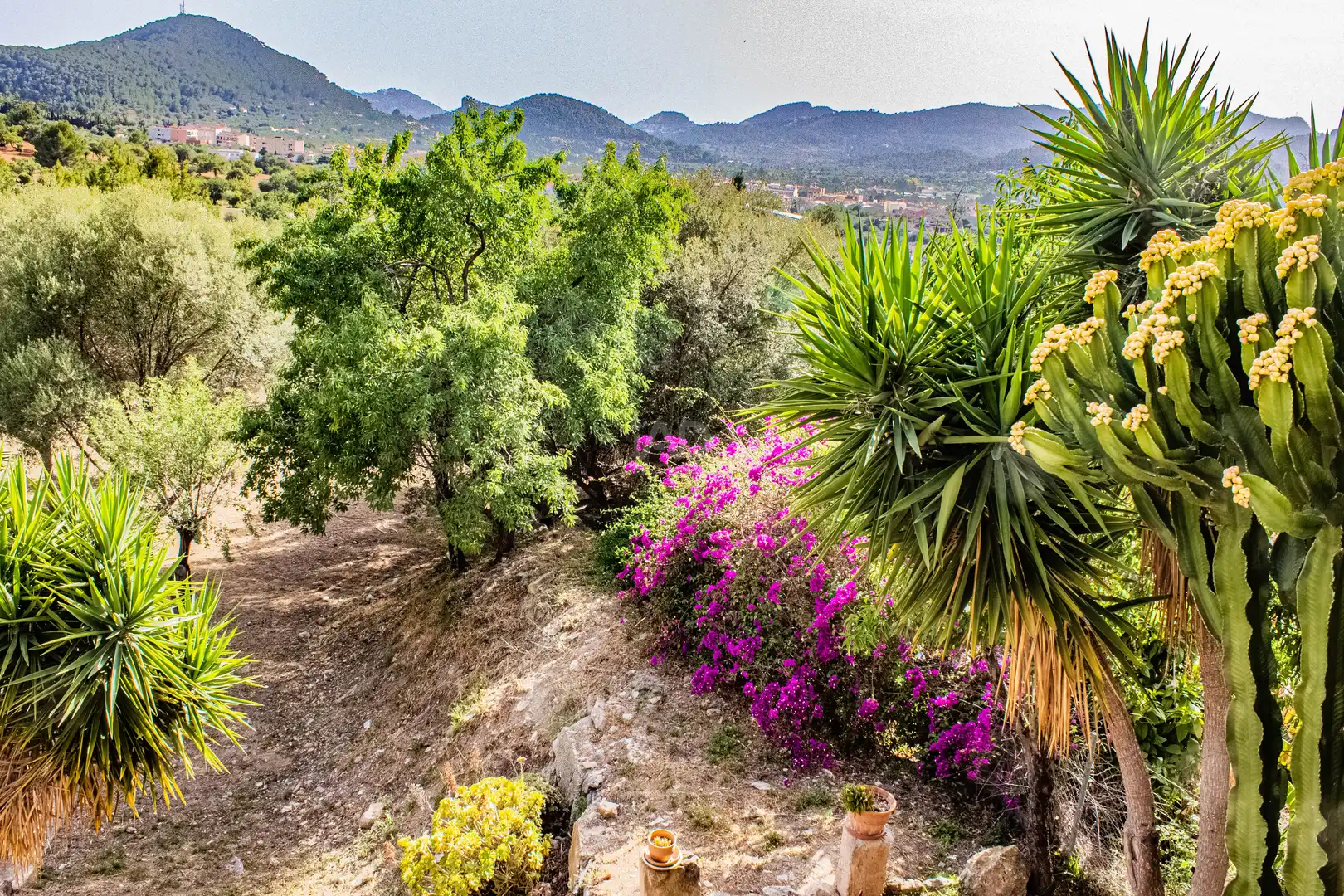 Garden of Country homes for sale in Andratx  with Air Conditioner, Heating and Terrace