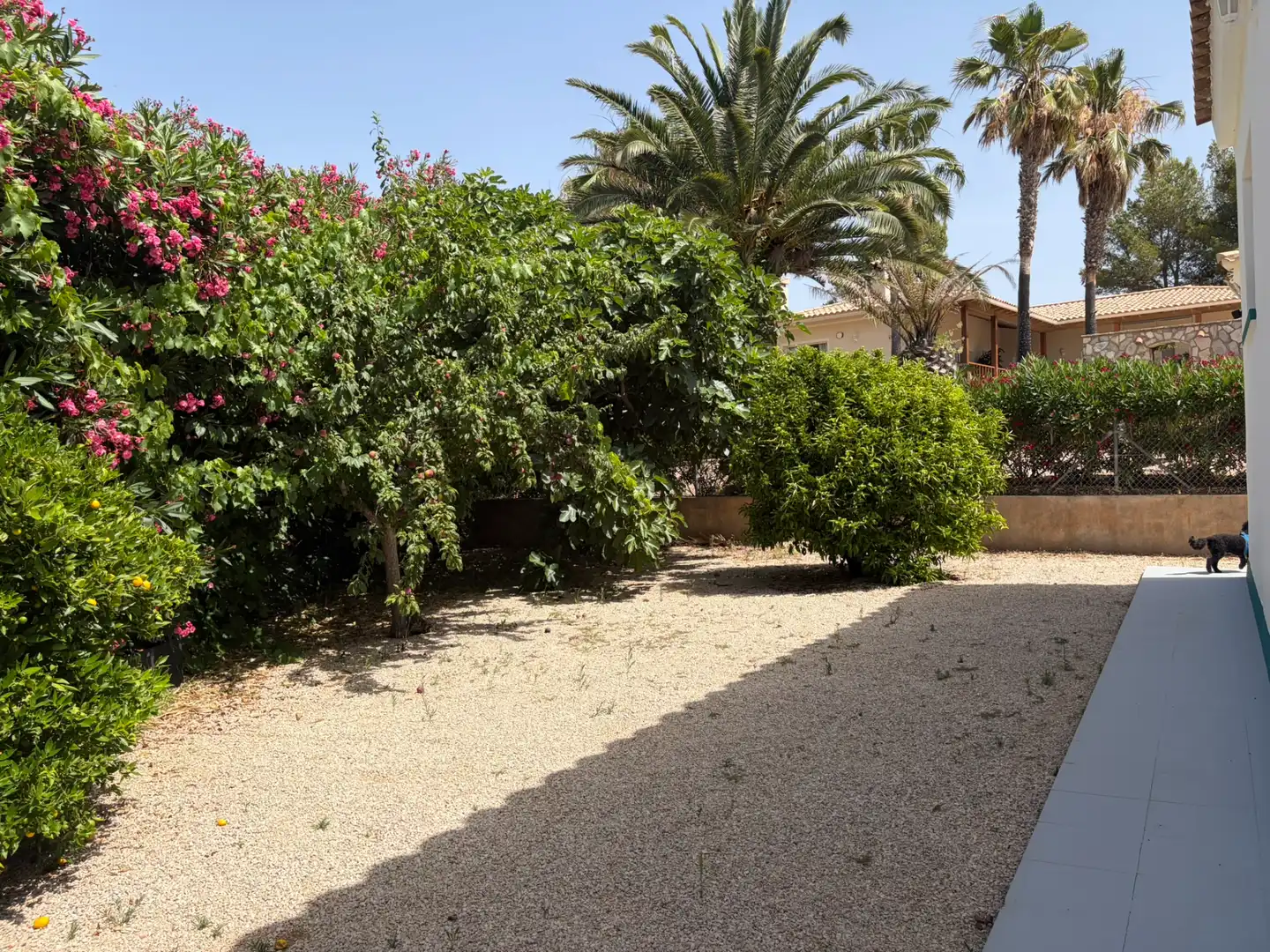 Jardín de Casa o chalet en venta en El Perelló con Aire acondicionado, Calefacción y Jardín privado