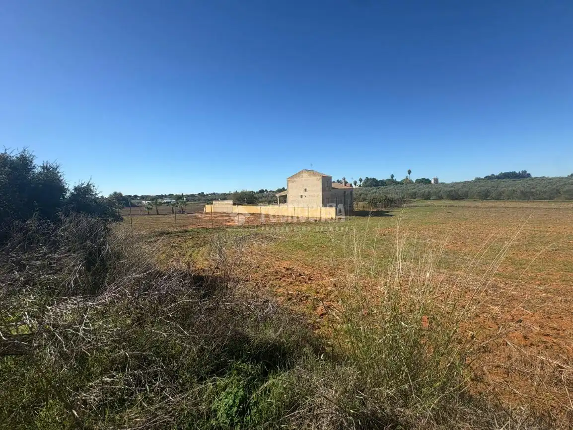 Terreni e lotti in vendita a Camino sanlucar la mayor olivares, imagen 6